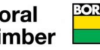 Boral_TImber_Logo-300x116